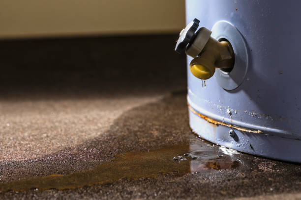 Best Carpet water damage restoration  in Paradise Valley, AZ