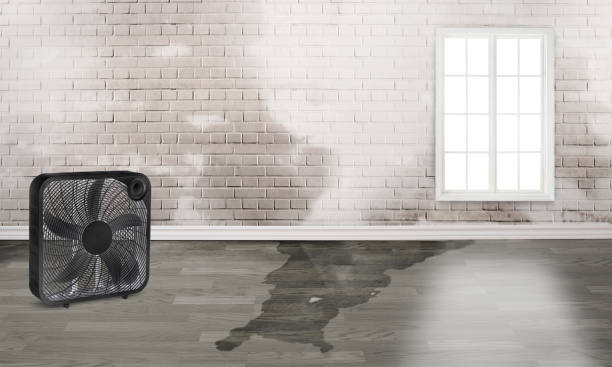 Best Water damage restoration insurance claims  in Paradise Valley, AZ