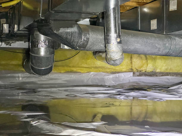 Best Ceiling water damage repair  in Paradise Valley, AZ