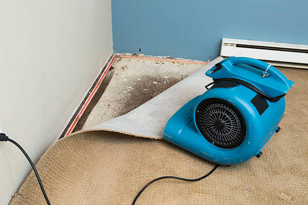 Best 24-hour water damage restoration  in Paradise Valley, AZ